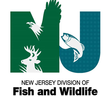 We work directly with the NJ Division of Fish and Wildlife